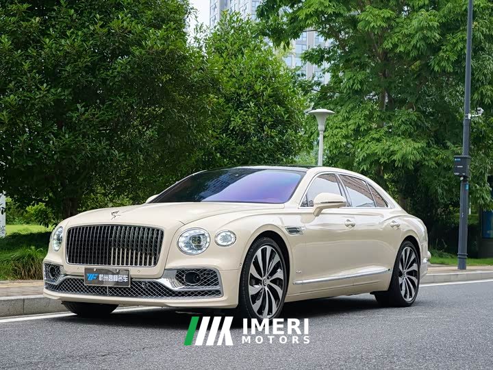 Geely Flying Spur 4.0T V8 Yadu Edition - автомобиль из Китая