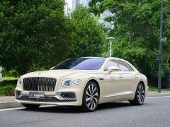 Geely Flying Spur 4.0T V8 Yadu Edition - фото 1