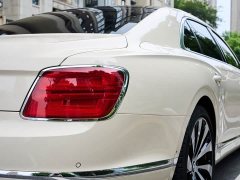 Geely Flying Spur 4.0T V8 Yadu Edition - фото 10