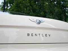 Geely Flying Spur 4.0T V8 Yadu Edition - фото 11