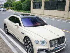 Geely Flying Spur 4.0T V8 Yadu Edition - фото 12