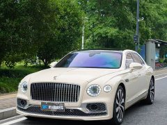 Geely Flying Spur 4.0T V8 Yadu Edition - фото 13