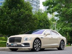 Geely Flying Spur 4.0T V8 Yadu Edition - фото 14