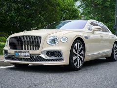 Geely Flying Spur 4.0T V8 Yadu Edition - фото 15