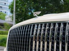 Geely Flying Spur 4.0T V8 Yadu Edition - фото 16