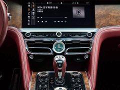Geely Flying Spur 4.0T V8 Yadu Edition - фото 18