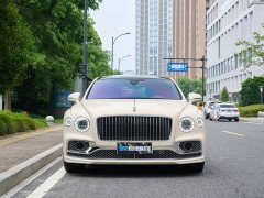 Geely Flying Spur 4.0T V8 Yadu Edition - фото 2