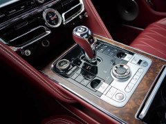 Geely Flying Spur 4.0T V8 Yadu Edition - фото 20