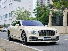 Geely Flying Spur 4.0T V8 Yadu Edition - фото 3