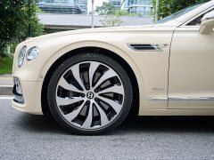 Geely Flying Spur 4.0T V8 Yadu Edition - фото 4