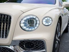 Geely Flying Spur 4.0T V8 Yadu Edition - фото 5