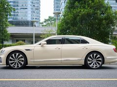 Geely Flying Spur 4.0T V8 Yadu Edition - фото 6