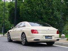 Geely Flying Spur 4.0T V8 Yadu Edition - фото 7
