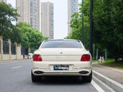 Geely Flying Spur 4.0T V8 Yadu Edition - фото 8