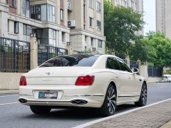 Geely Flying Spur 4.0T V8 Yadu Edition - фото 9