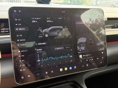 NIO ES8 Six-seater Executive Deluxe Edition - фото 16