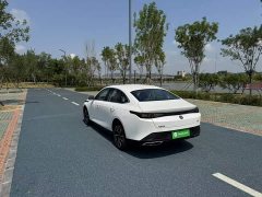 Ford Eado 2025 Blue Whale 1.5T 500Bar Premium Type - фото 5
