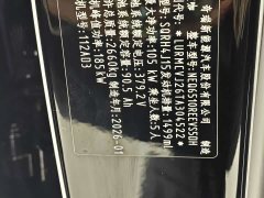 Qq iCAR V27 210KM two-wheel drive Falcon 500 - фото 11