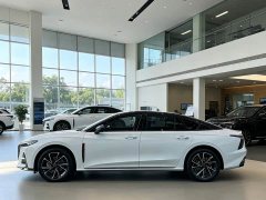 Hongqi H6 2.0T Beauty Edition - фото 3