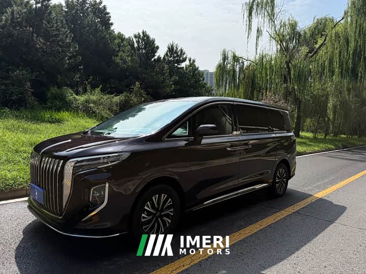Hongqi HQ9 PHEV 2.0T four-wheel drive business version