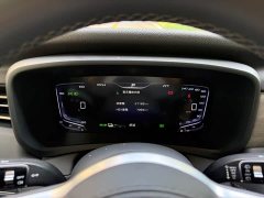 Hongqi HQ9 PHEV 2.0T four-wheel drive business version - фото 7