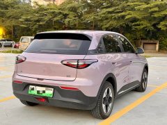 Geely Star Wishes 310km Dream Edition - фото 20