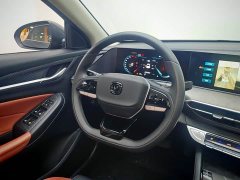 Ford EADO 2023 Enjoy Edition PLUS Blue Whale NE 1.4T GDI DCT Premium Edition - фото 16