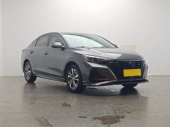 Ford EADO 2023 Enjoy Edition PLUS Blue Whale NE 1.4T GDI DCT Premium Edition - фото 2