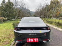 Ford Eado Blue Whale 1.5T 500Bar flagship - фото 12