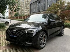 Audi Q5L Sportback 40 TFSI Ice and Snow Sports Edition - фото 1
