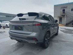 SAIC Roewe RX5 New Energy 2023 eRX5 Super Hybrid Superior Edition - фото 10