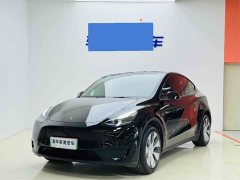 Tesla Model Y rear-wheel drive version - фото 1