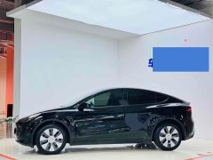 Tesla Model Y rear-wheel drive version - фото 2