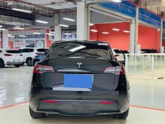 Tesla Model Y rear-wheel drive version - фото 6
