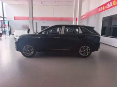 Ora Hongqi HS3 PHEV 125km, 2 million units commemorative edition - фото 6