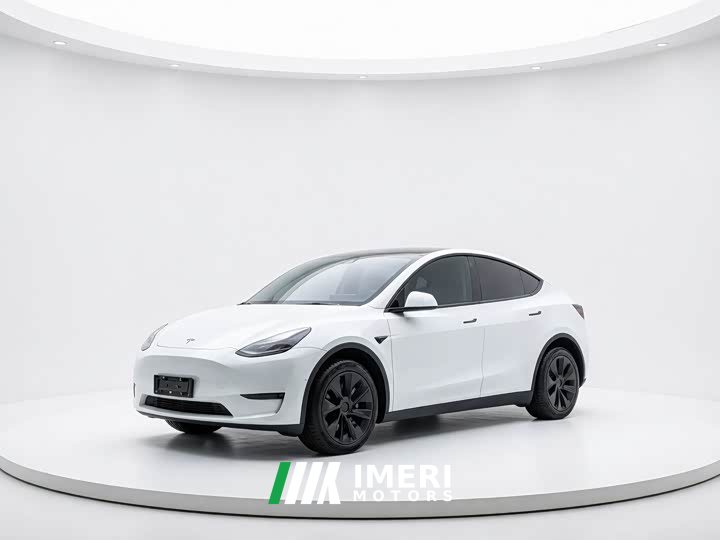 Tesla Model Y long-range all-wheel drive version - автомобиль из Китая