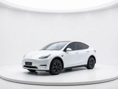Tesla Model Y long-range all-wheel drive version - фото 1