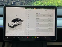 Tesla Model Y long-range all-wheel drive version - фото 19