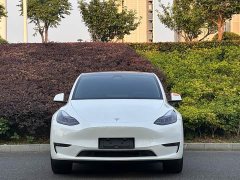 Tesla Model Y long-range all-wheel drive version - фото 2
