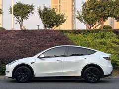 Tesla Model Y long-range all-wheel drive version - фото 3