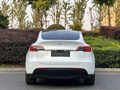 Tesla Model Y long-range all-wheel drive version - фото 4