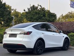 Tesla Model Y long-range all-wheel drive version - фото 5