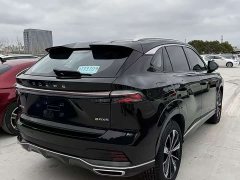 Roewe RX5 New Energy 2023 eRX5 Super Hybrid Superior Edition - фото 8