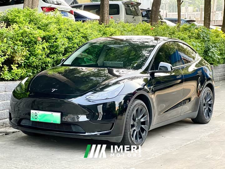 Tesla Model Y rear-wheel drive version - автомобиль из Китая