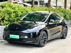 Tesla Model Y rear-wheel drive version - фото 1