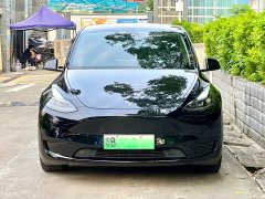 Tesla Model Y rear-wheel drive version - фото 2