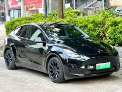 Tesla Model Y rear-wheel drive version - фото 3