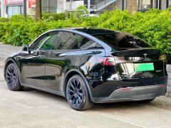 Tesla Model Y rear-wheel drive version - фото 8