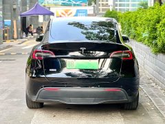 Tesla Model Y rear-wheel drive version - фото 9