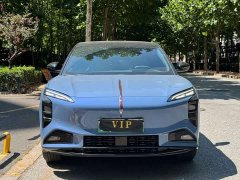 Hongqi Tiangong 08 730 Max rear-wheel drive version - фото 2